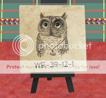 BSA Wood Badge Owl 4