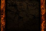 background_Infested.jpg image by abets1