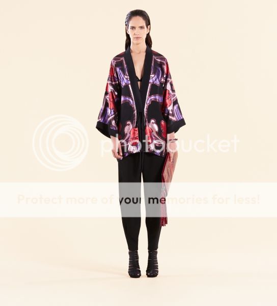 photo look13sv.jpg