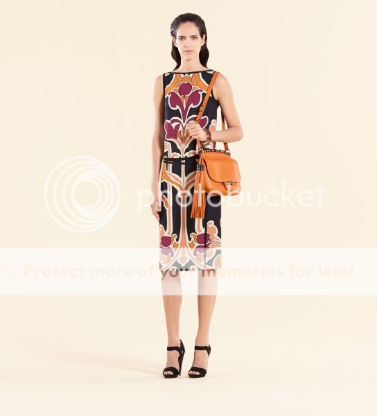 photo look31sv.jpg