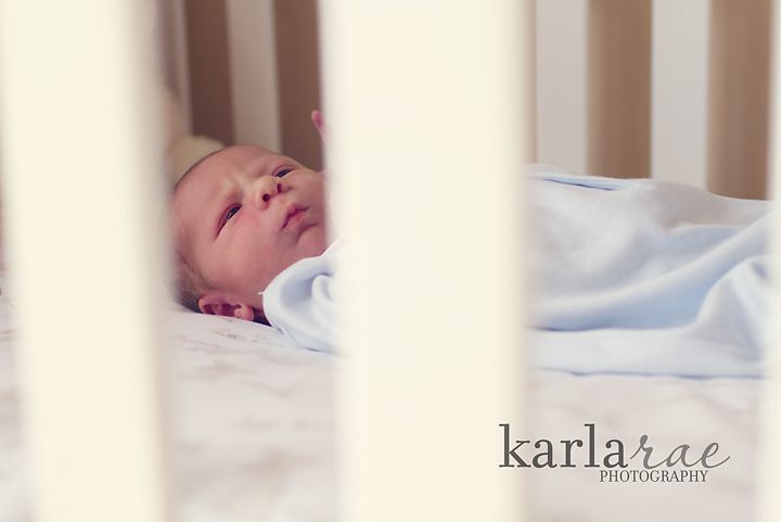  photo IMG_4651copy.jpg