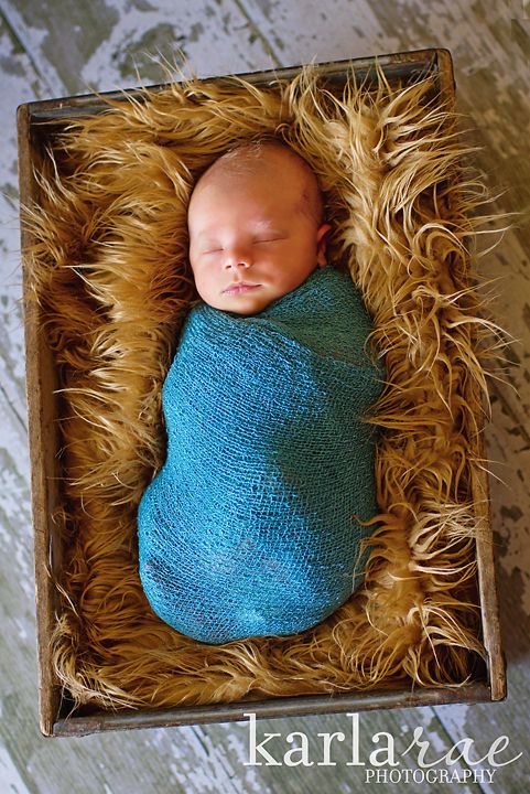  photo IMG_6199copy.jpg