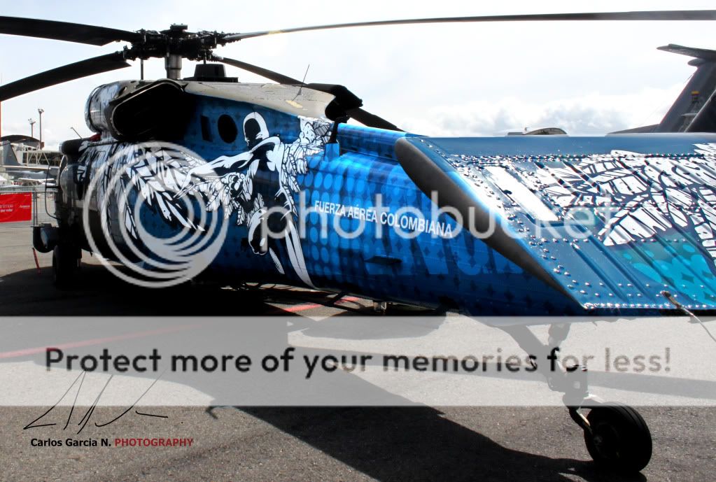 IMAGE: http://i919.photobucket.com/albums/ad35/surgeonhawkeye/F%20Air%202011/Fair201111Angel.jpg