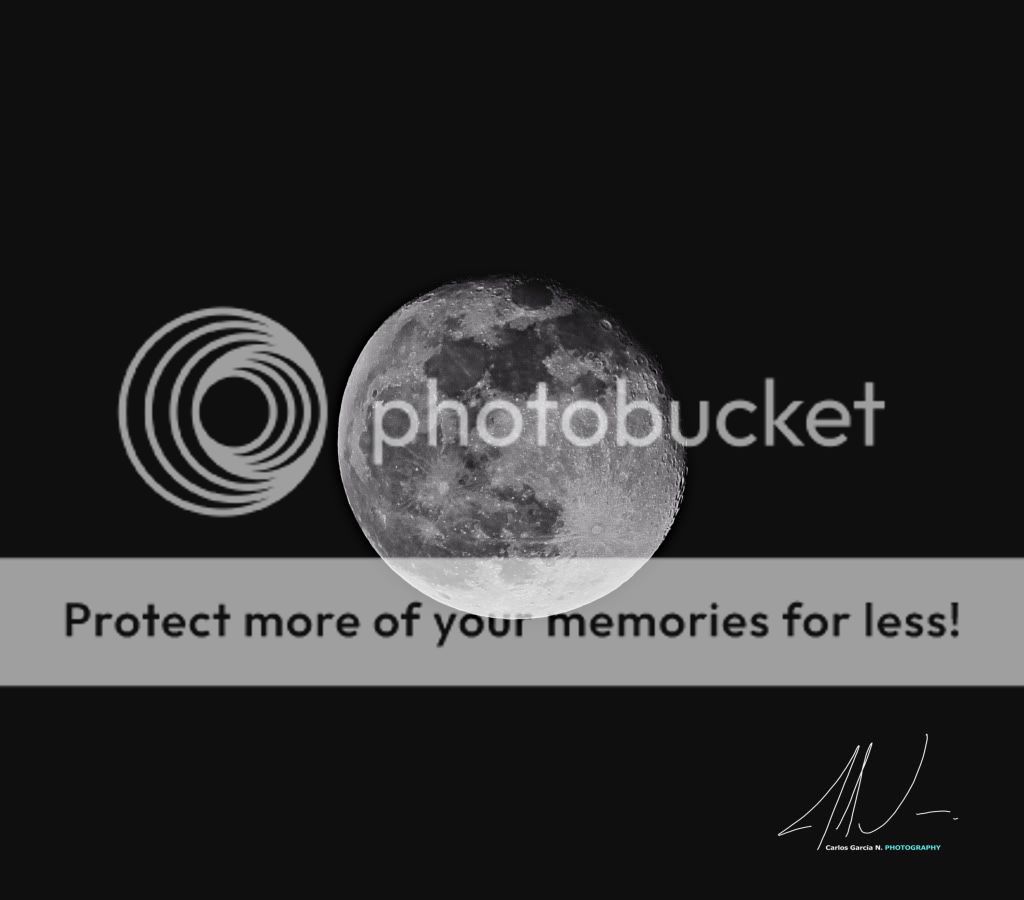 IMAGE: http://i919.photobucket.com/albums/ad35/surgeonhawkeye/Nature/05062012-Junio6027.jpg