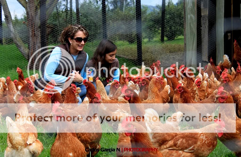 IMAGE: http://i919.photobucket.com/albums/ad35/surgeonhawkeye/Nature/Halloween10100.jpg