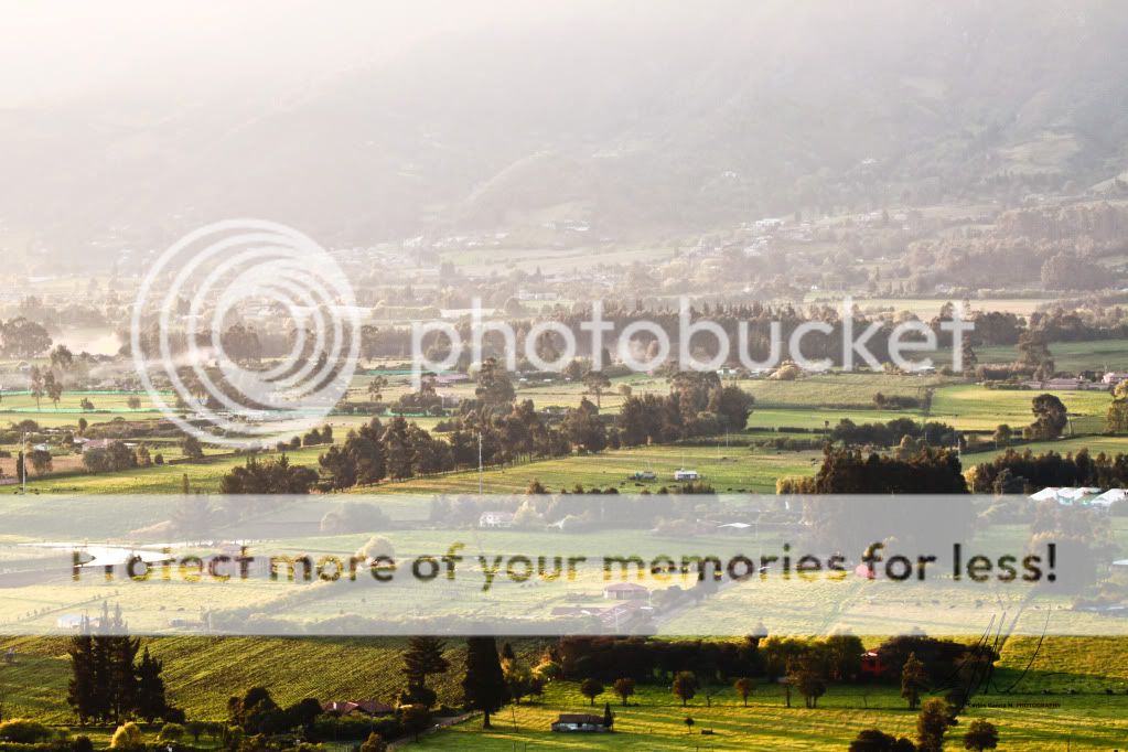 IMAGE: http://i919.photobucket.com/albums/ad35/surgeonhawkeye/Nature/Home.jpg