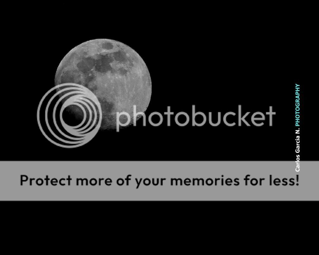 IMAGE: http://i919.photobucket.com/albums/ad35/surgeonhawkeye/Nature/OctIMG_1272_zpsdbd9c0c5.jpg