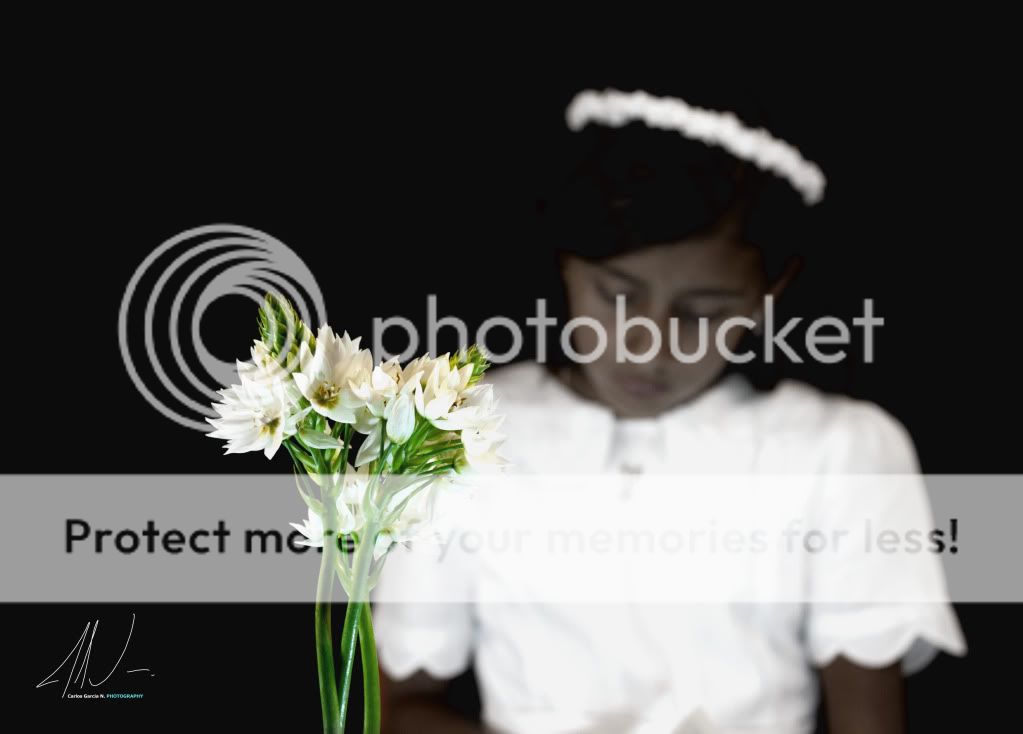 IMAGE: http://i919.photobucket.com/albums/ad35/surgeonhawkeye/Primeracomunion4.jpg