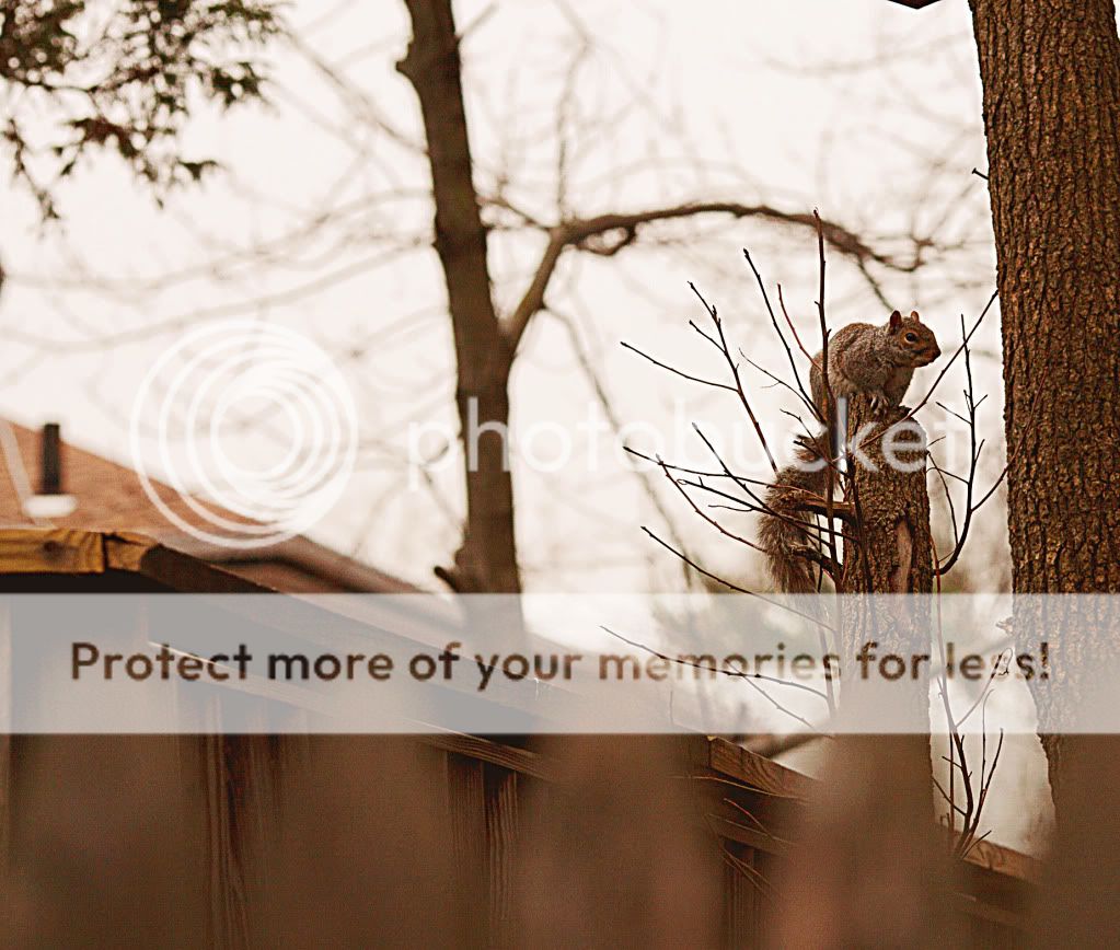 IMAGE: http://i919.photobucket.com/albums/ad35/surgeonhawkeye/Retocadas/mg26302.jpg