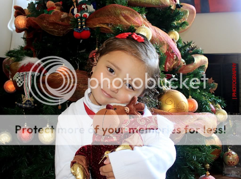 IMAGE: http://i919.photobucket.com/albums/ad35/surgeonhawkeye/Retratos/navidad.jpg