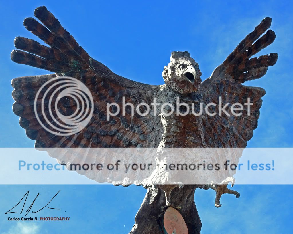 IMAGE: http://i919.photobucket.com/albums/ad35/surgeonhawkeye/Still%20life/Fair20111212HalconC5.jpg