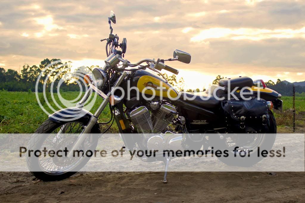 IMAGE: http://i919.photobucket.com/albums/ad35/surgeonhawkeye/Still%20life/IMG_2282-1-Recovered_zps702143f3.jpg