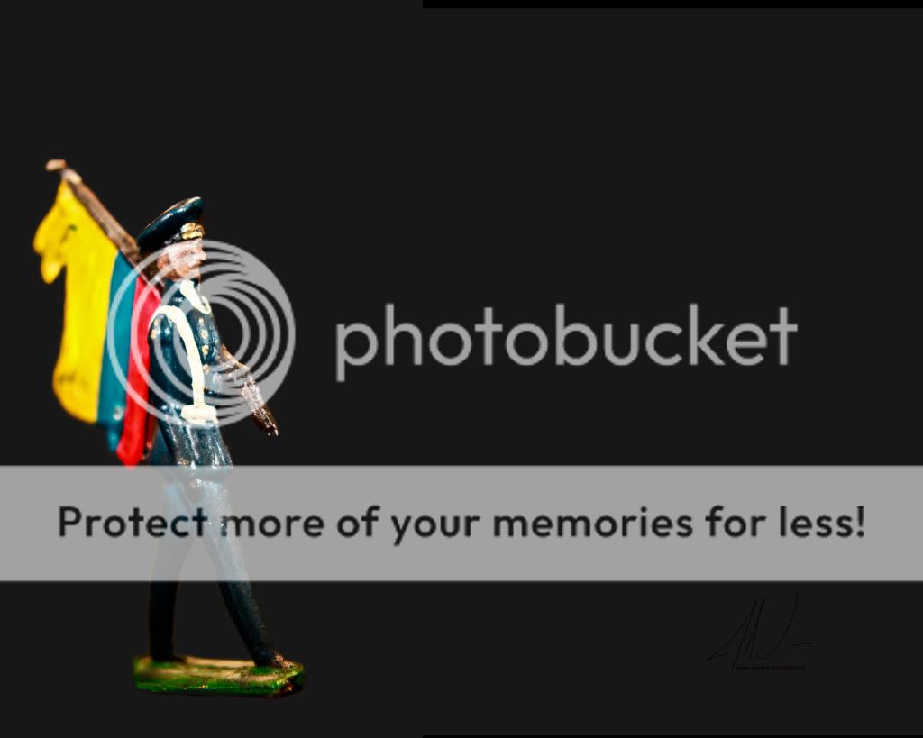 IMAGE: http://i919.photobucket.com/albums/ad35/surgeonhawkeye/Still%20life/Toysoldier.jpg