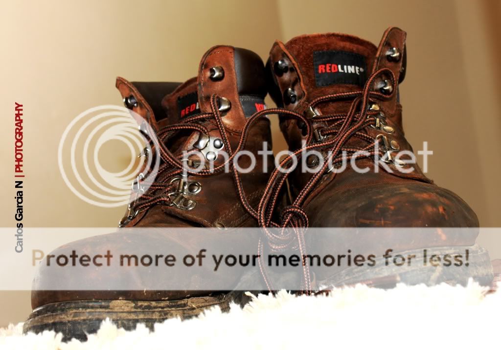 IMAGE: http://i919.photobucket.com/albums/ad35/surgeonhawkeye/Still%20life/ago10014.jpg