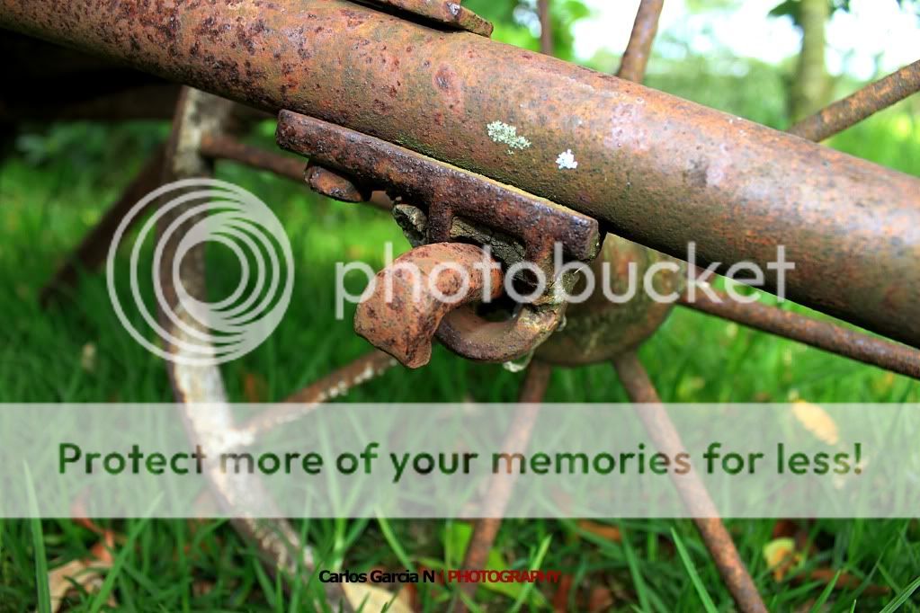 IMAGE: http://i919.photobucket.com/albums/ad35/surgeonhawkeye/Still%20life/ago10128.jpg