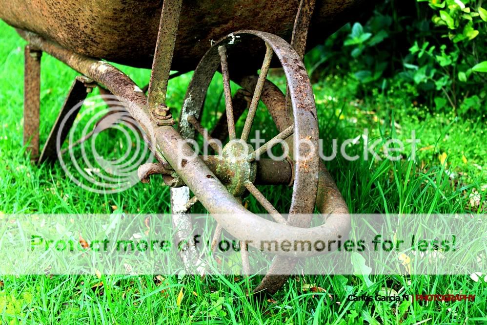 IMAGE: http://i919.photobucket.com/albums/ad35/surgeonhawkeye/Still%20life/carretilla1.jpg