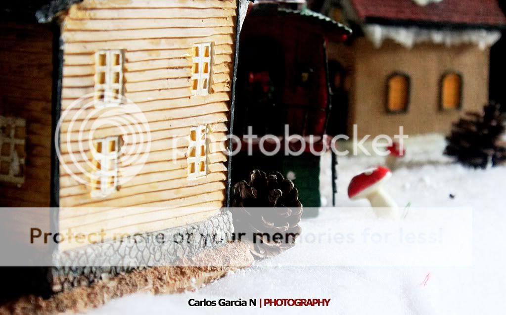 IMAGE: http://i919.photobucket.com/albums/ad35/surgeonhawkeye/Still%20life/xmas1.jpg