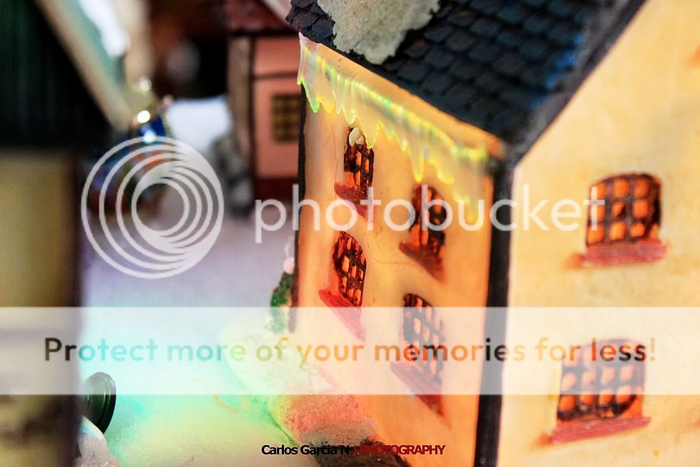 IMAGE: http://i919.photobucket.com/albums/ad35/surgeonhawkeye/Still%20life/xmas2.jpg