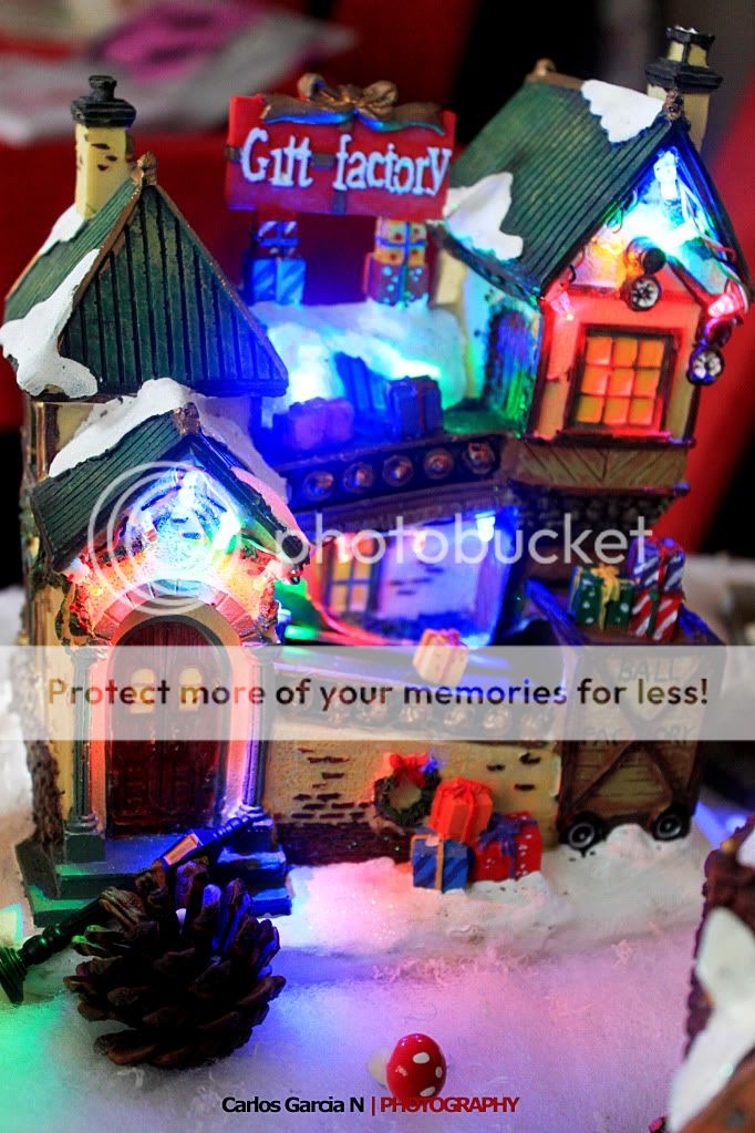 IMAGE: http://i919.photobucket.com/albums/ad35/surgeonhawkeye/Still%20life/xmas4.jpg