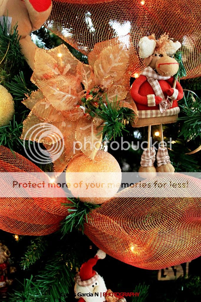 IMAGE: http://i919.photobucket.com/albums/ad35/surgeonhawkeye/Still%20life/xmas5.jpg