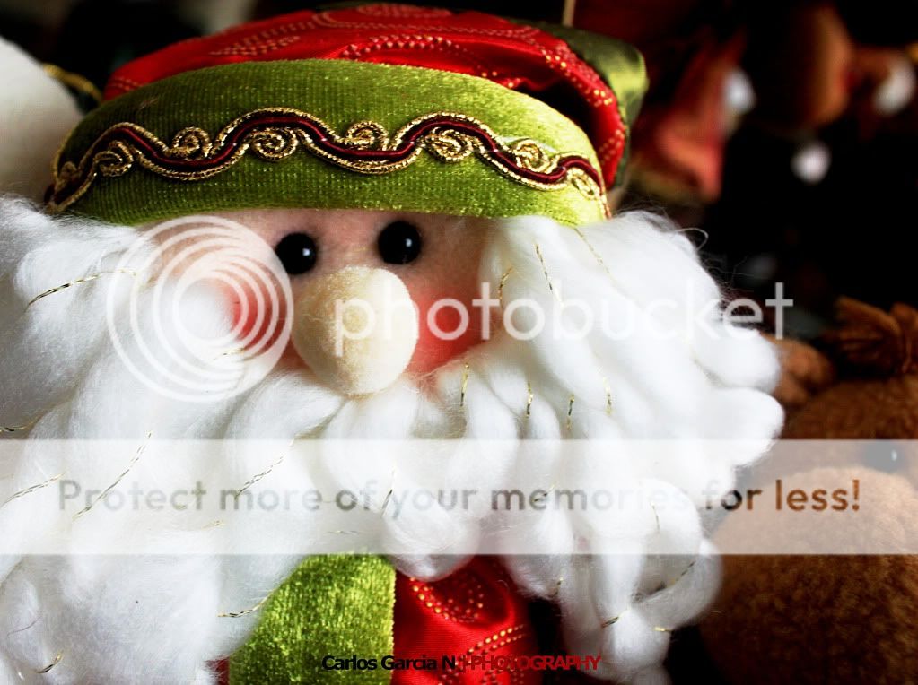 IMAGE: http://i919.photobucket.com/albums/ad35/surgeonhawkeye/Still%20life/xmas6.jpg