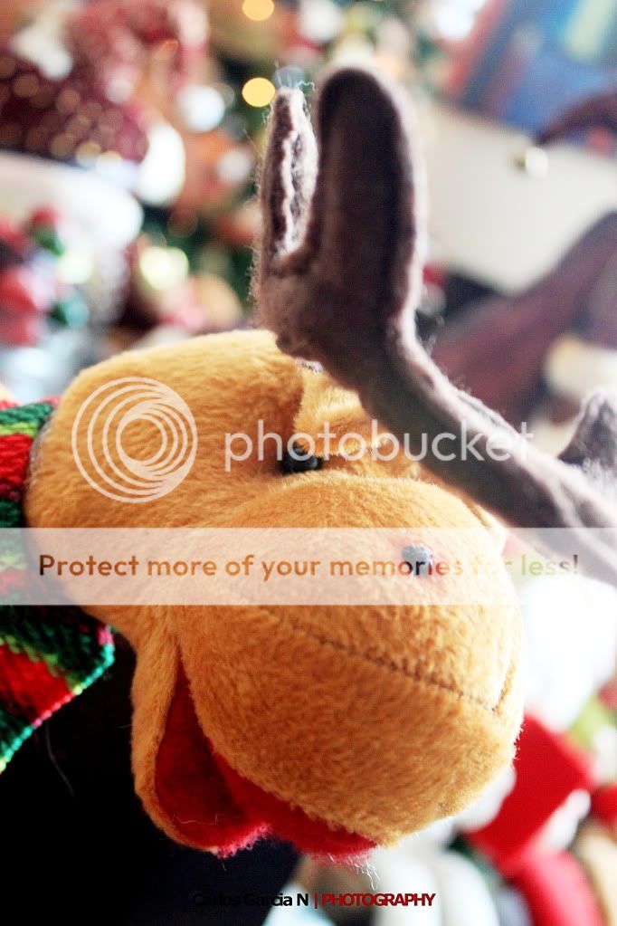 IMAGE: http://i919.photobucket.com/albums/ad35/surgeonhawkeye/Still%20life/xmas7.jpg