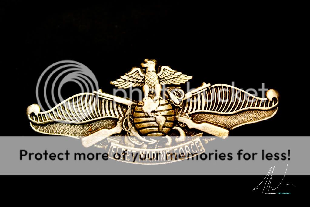 IMAGE: http://i919.photobucket.com/albums/ad35/surgeonhawkeye/Things%20that%20make%20me%20proud/InsigniaMarines.jpg