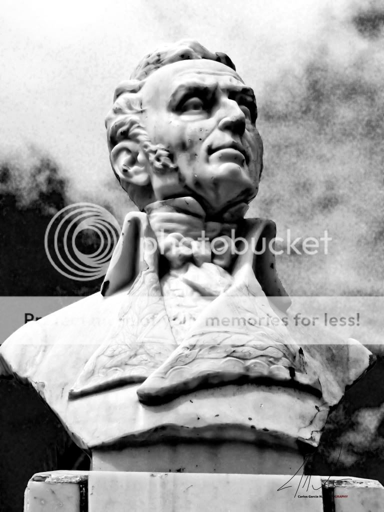 IMAGE: http://i919.photobucket.com/albums/ad35/surgeonhawkeye/Travel/17032012-Villadeleyvaestatuas4GralNArio.jpg