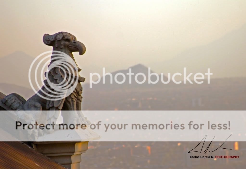 IMAGE: http://i919.photobucket.com/albums/ad35/surgeonhawkeye/Travel/GargolaChile.jpg