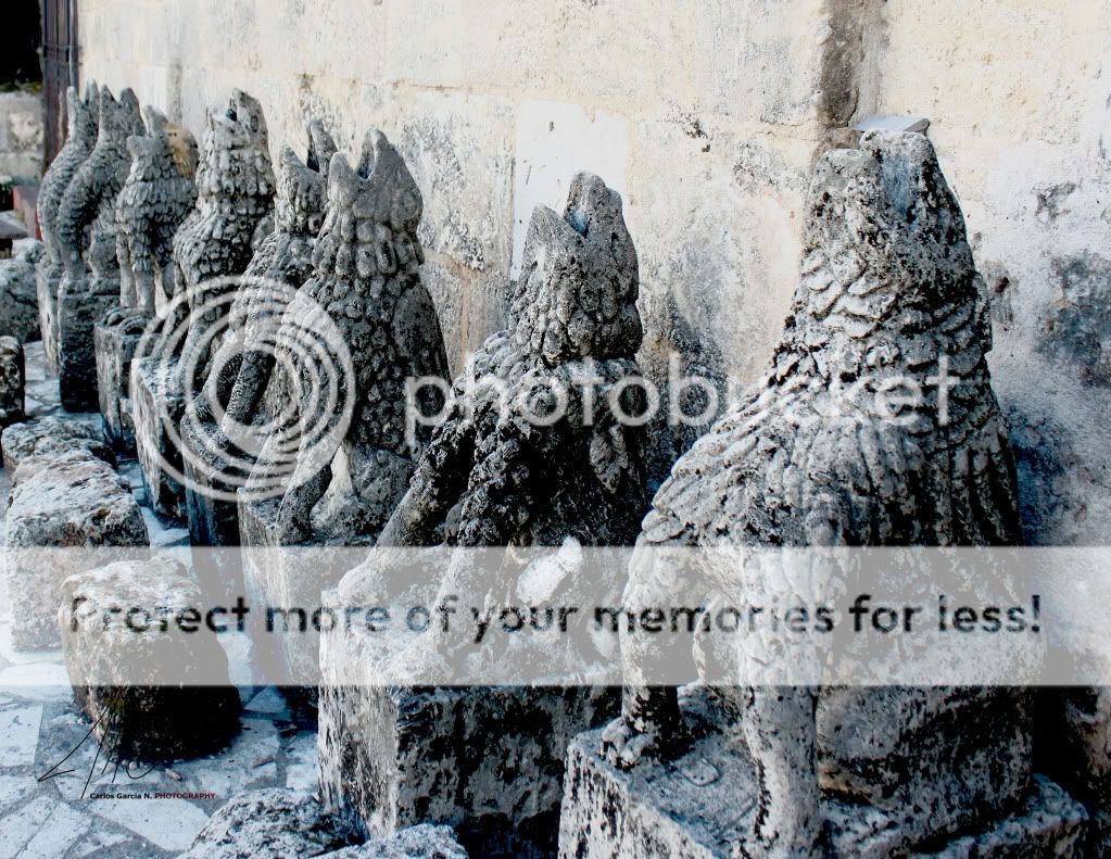 IMAGE: http://i919.photobucket.com/albums/ad35/surgeonhawkeye/Travel/Stodomingogargolas.jpg