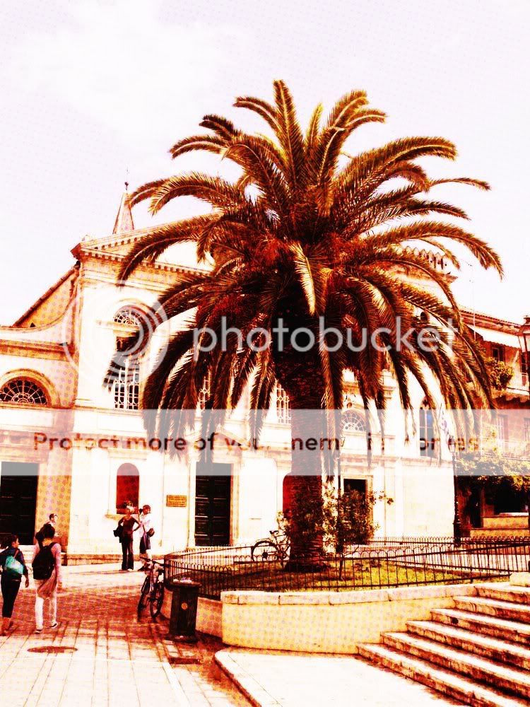 IMAGE: http://i919.photobucket.com/albums/ad35/surgeonhawkeye/contest/B26A23341.jpg