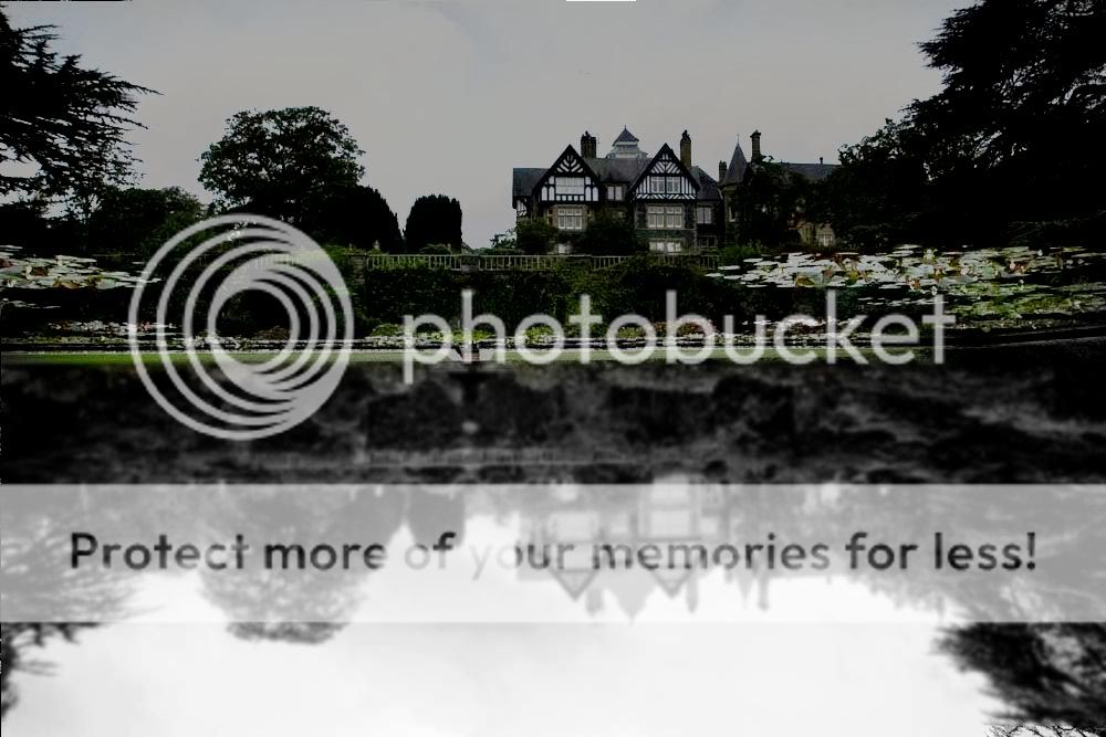 IMAGE: http://i919.photobucket.com/albums/ad35/surgeonhawkeye/contest/B26A333.jpg