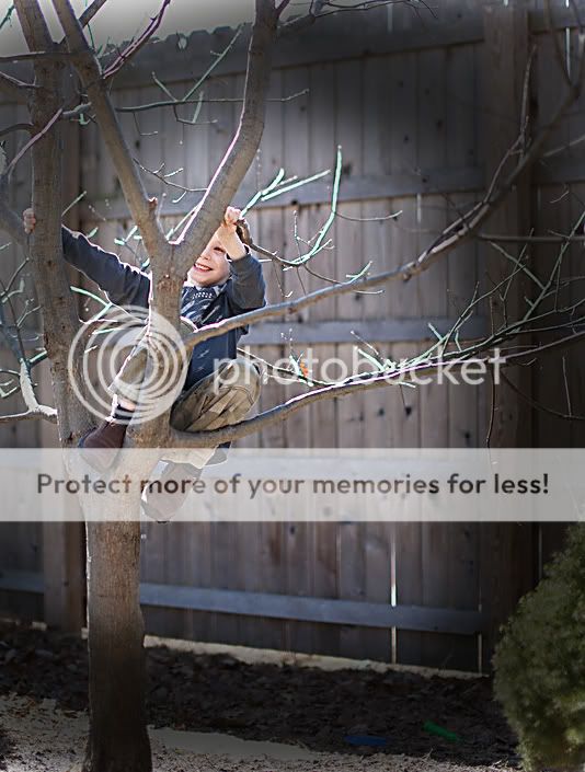 IMAGE: http://i919.photobucket.com/albums/ad35/surgeonhawkeye/contest/IMG_9231.jpg