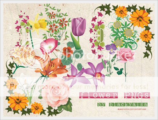 flower images in png