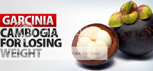 whole body garcinia cambogia