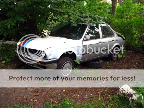 bmw001.jpg