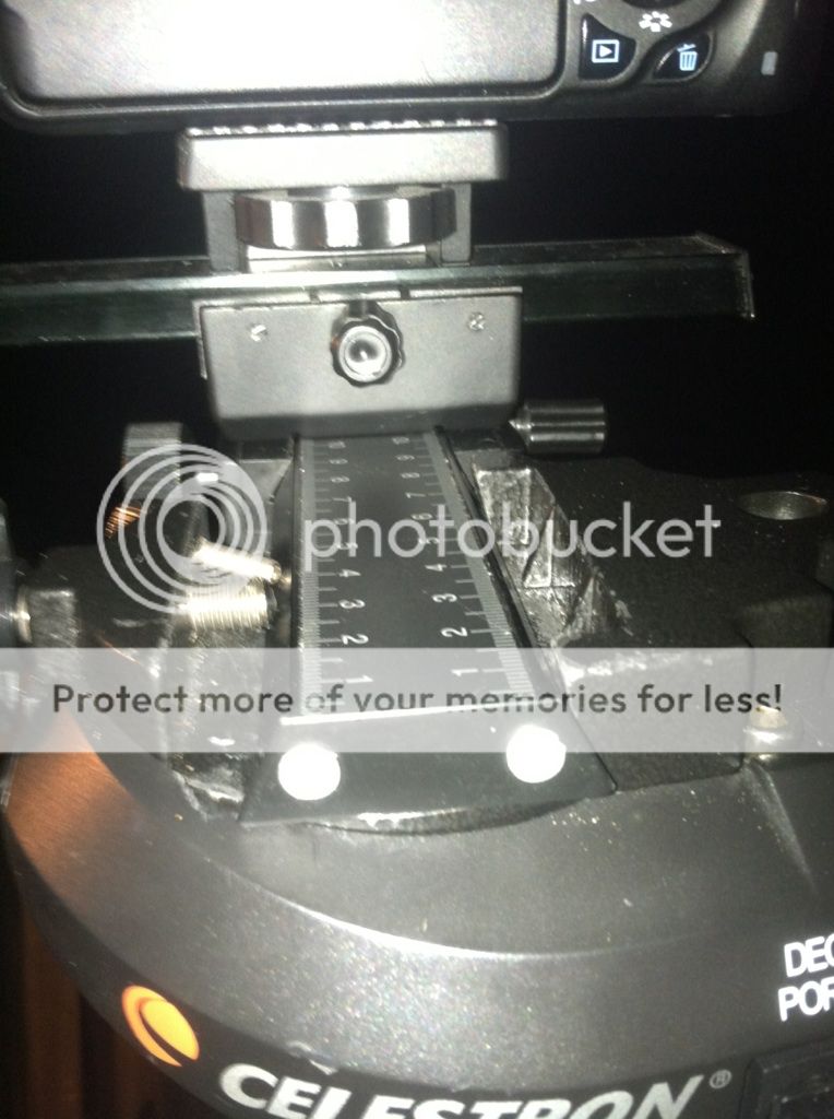 IMAGE: http://i919.photobucket.com/albums/ad40/calypsobomber/IMG_7165.jpg