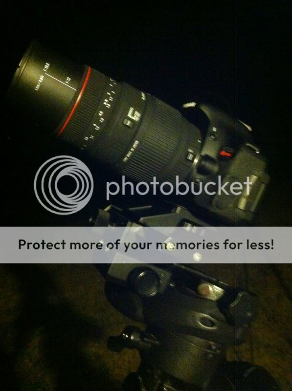 IMAGE: http://i919.photobucket.com/albums/ad40/calypsobomber/IMG_9980.jpg