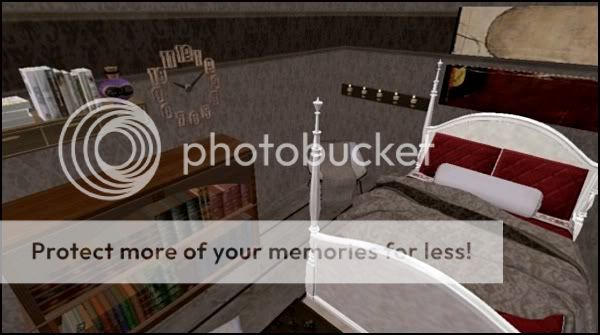snapshot_00000004_796dfe99.jpg