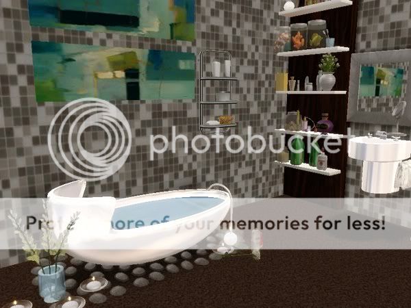 snapshot_00000004_d954879b.jpg