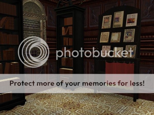 snapshot_00000004_dfaf34d8.jpg