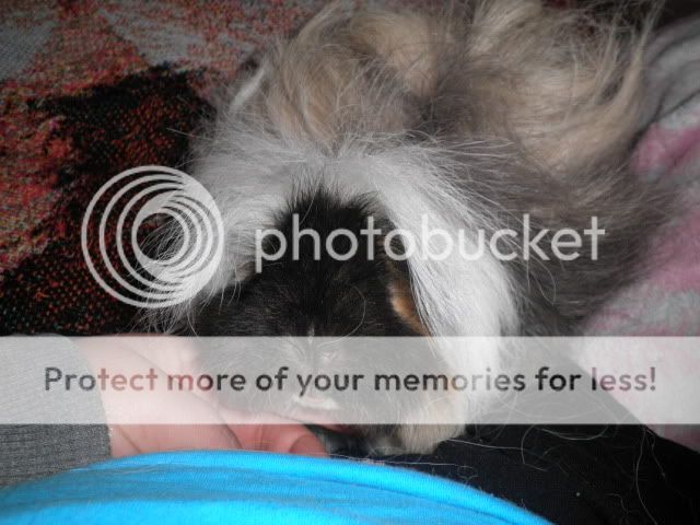 PC090024.jpg