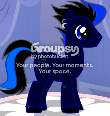 User Image